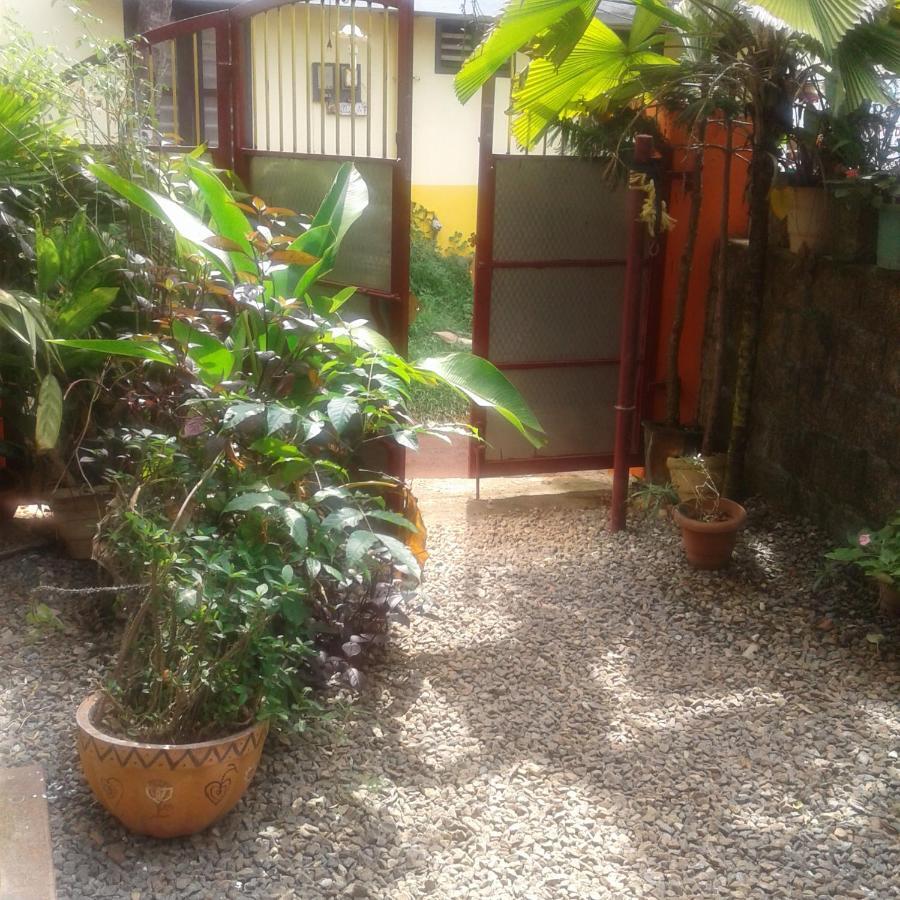 Baby House Hotel Varkala Exterior foto
